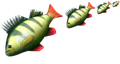 item 'raw-fish'