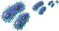 item 'iron-bacteria'