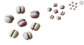 item 'jellynut-seed'