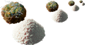item 'nutrients-from-spoilage'